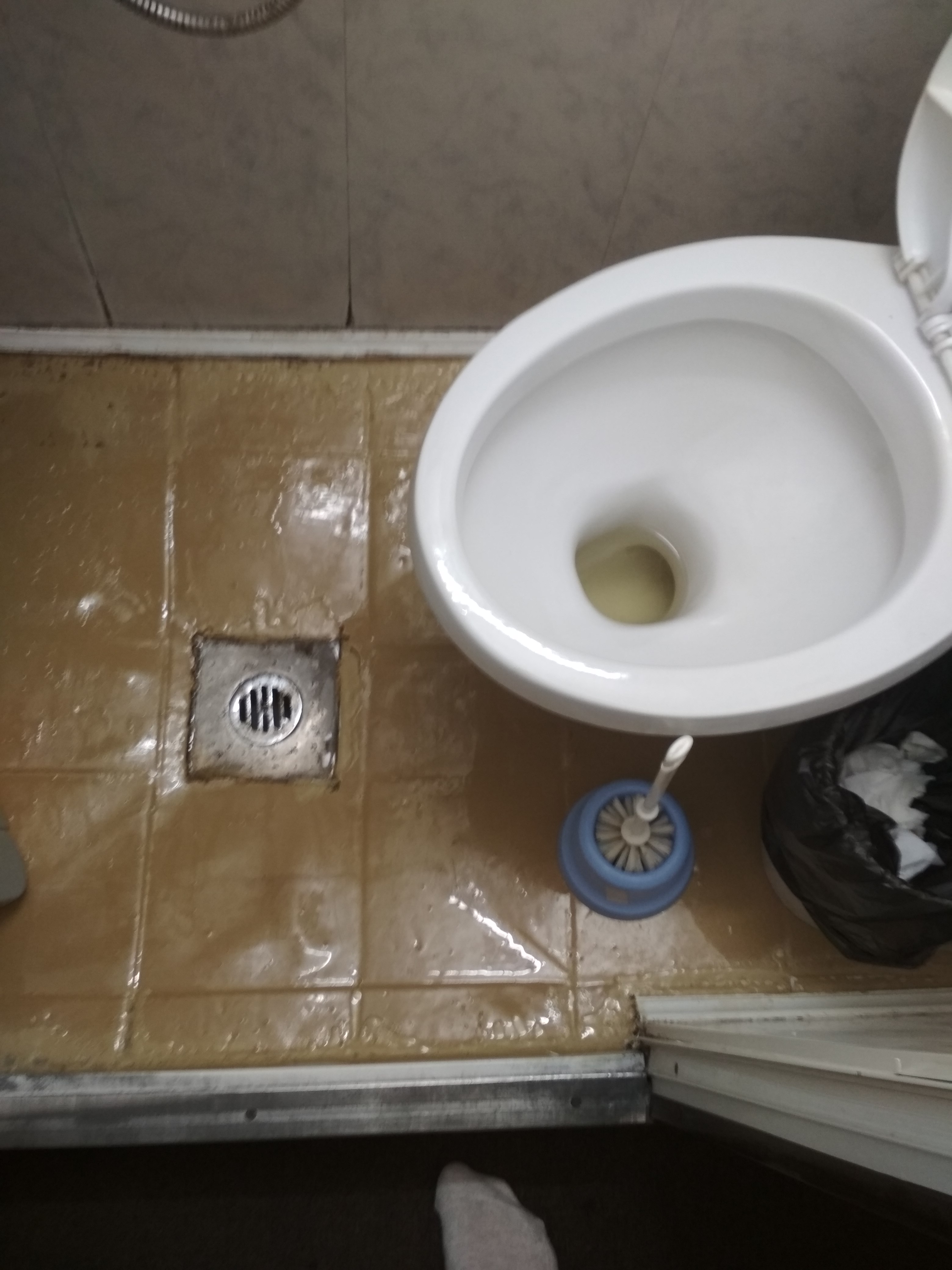 Фото Отзыв о круизе на теплоходе "Григорий Пирогов"