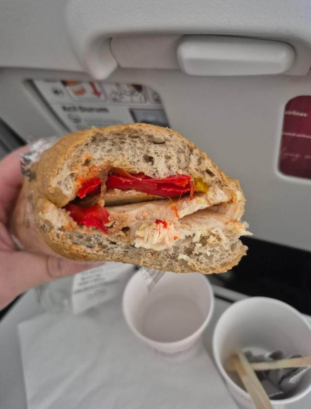 Фото Southwind Airlines рейс Москва - Стамбул, в мае.