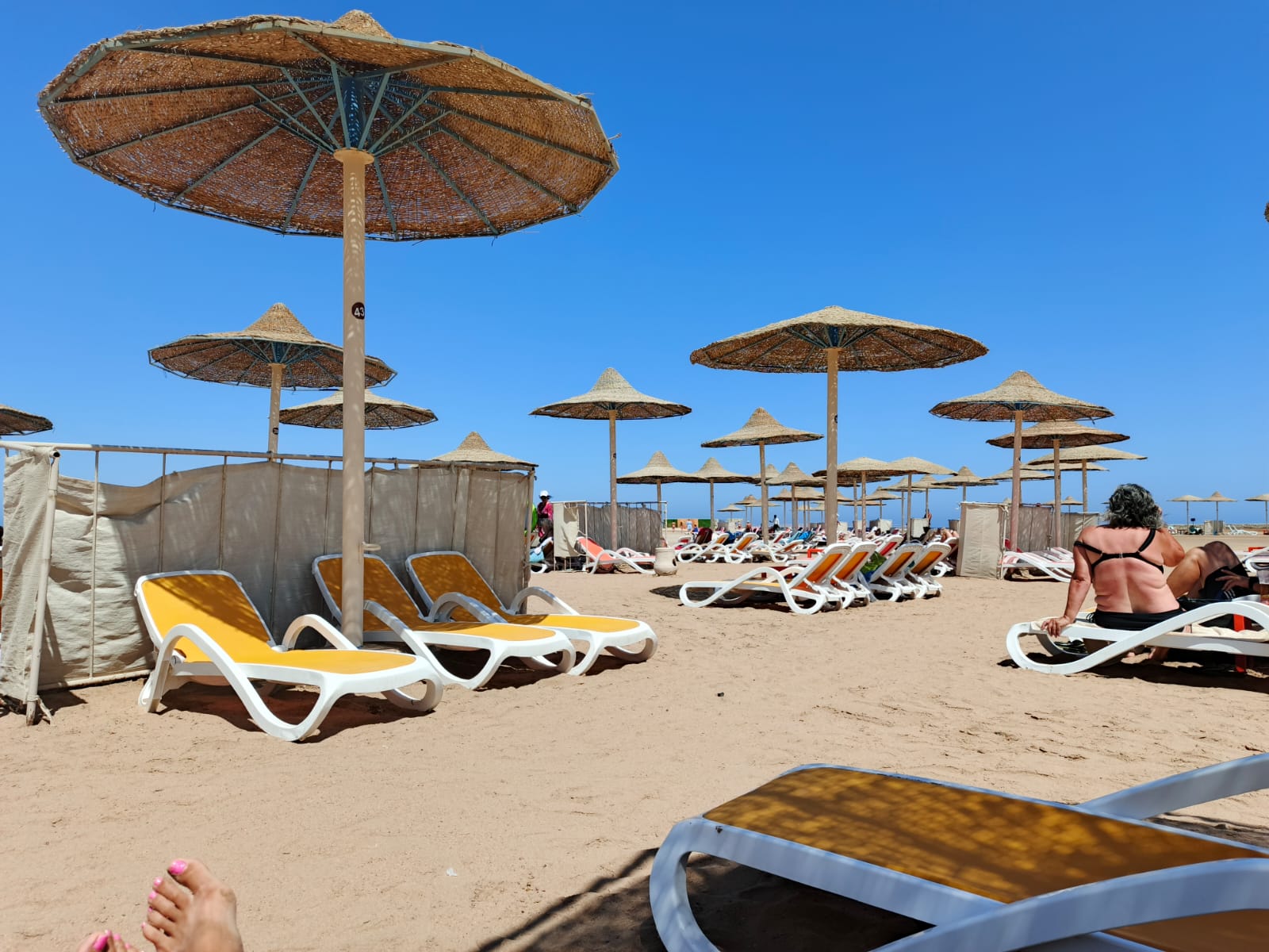 Фото Ездили от Пегаса в Хургаду ( Египет) в отель Long Beach Resort.