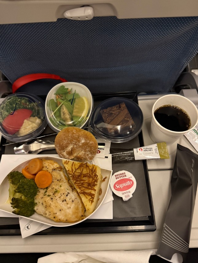 Фото Летели из Канады в Турцию. Полёт просто отличный и кормят Турецкие авиалинии хорошо.
