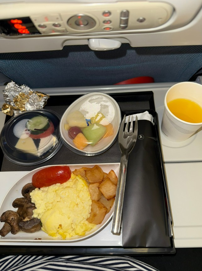 Фото Летели из Канады в Турцию. Полёт просто отличный и кормят Турецкие авиалинии хорошо.