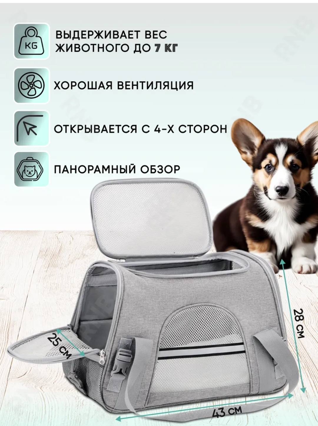 Фото Отказались перевозить собаку по заранее купленному билету.