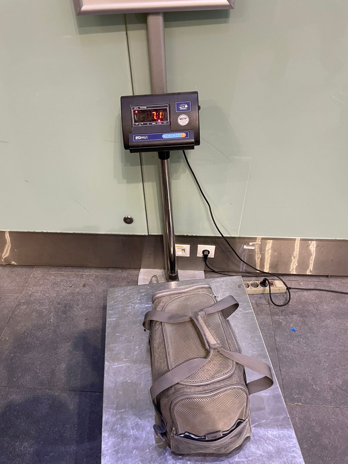 Фото Отказались перевозить собаку по заранее купленному билету.