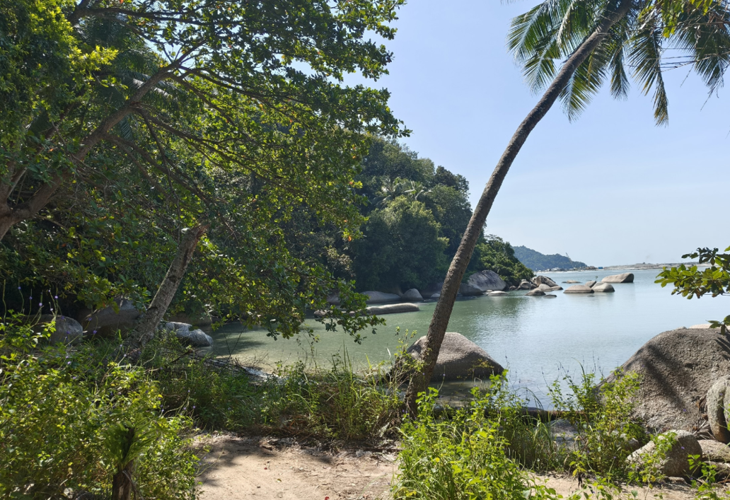 Фото Краткий отдых на пляжах Пенанга, но без питания в полёте.