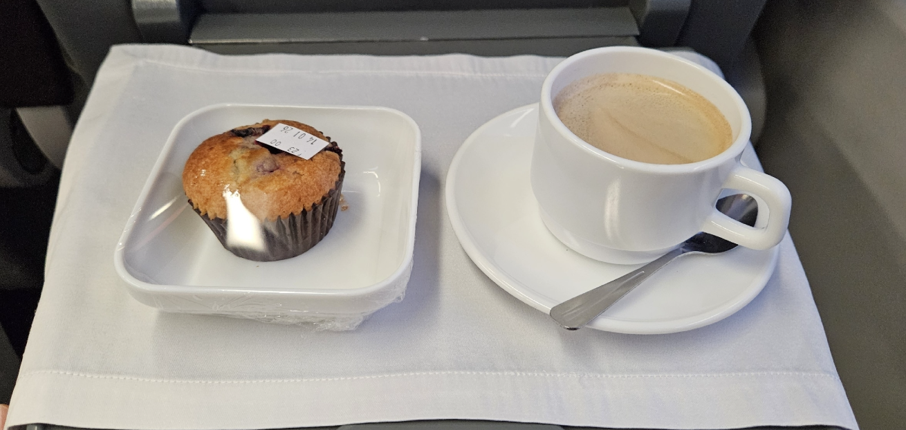 Фото Ласточка из Москвы в Санкт-Петербург в бизнесе за баллы.