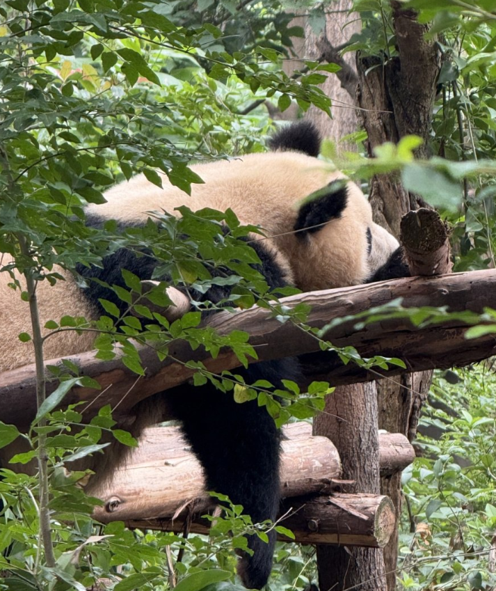 Фото Бюджетно и комфортно. Цена-качество 10 из 10!