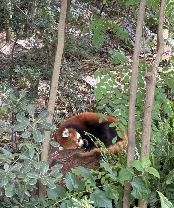 Фото Бюджетно и комфортно. Цена-качество 10 из 10!