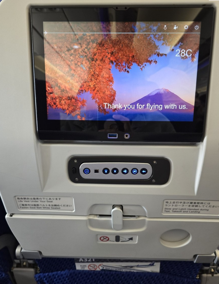 Фото Внутренний рейс по Японии - Кагосима-Токио. Как купить билеты и зарегистрироваться на рейс