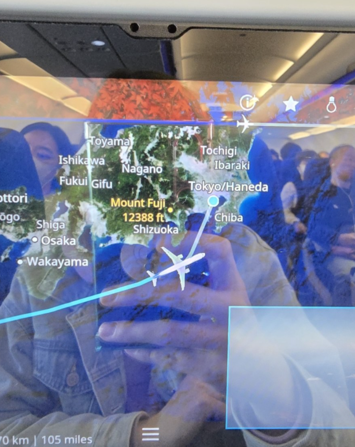 Фото Внутренний рейс по Японии - Кагосима-Токио. Как купить билеты и зарегистрироваться на рейс