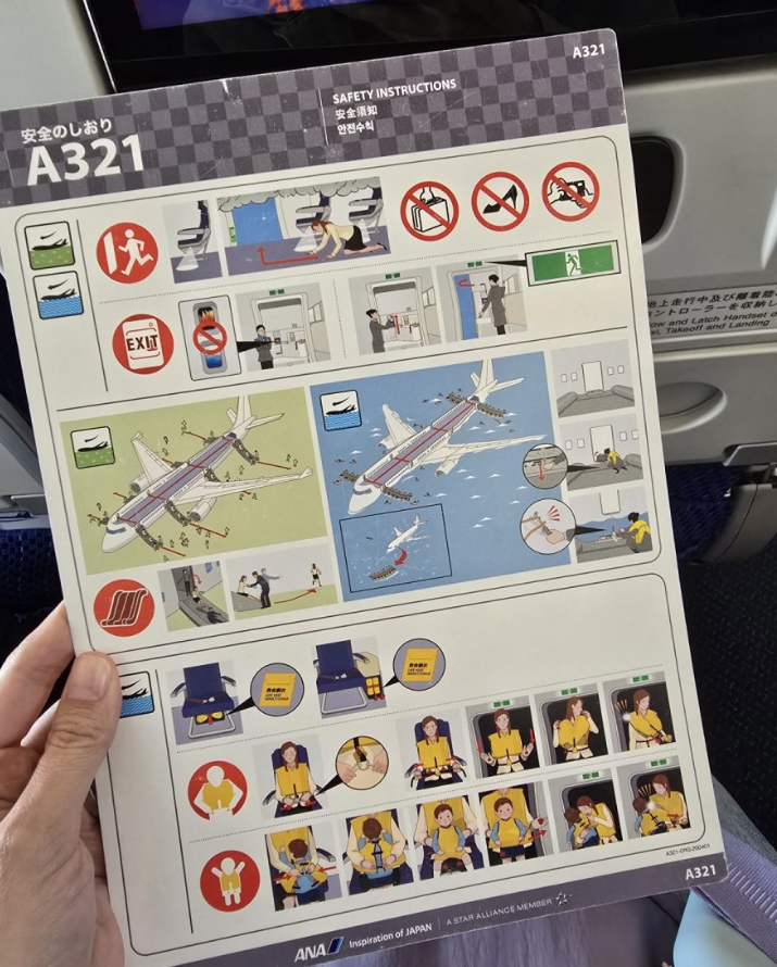 Фото Внутренний рейс по Японии - Кагосима-Токио. Как купить билеты и зарегистрироваться на рейс