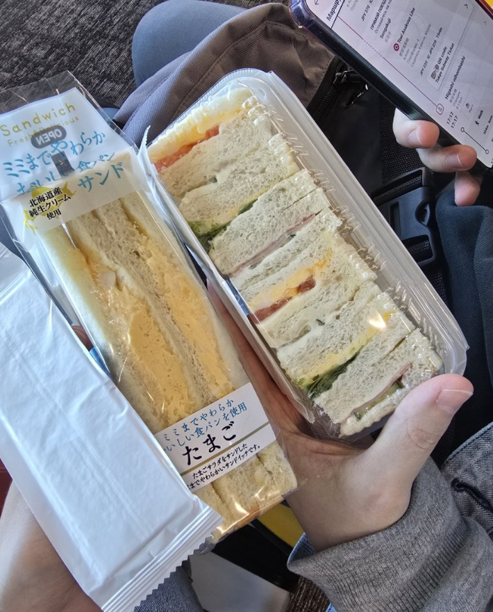 Фото Внутренний рейс по Японии - Кагосима-Токио. Как купить билеты и зарегистрироваться на рейс