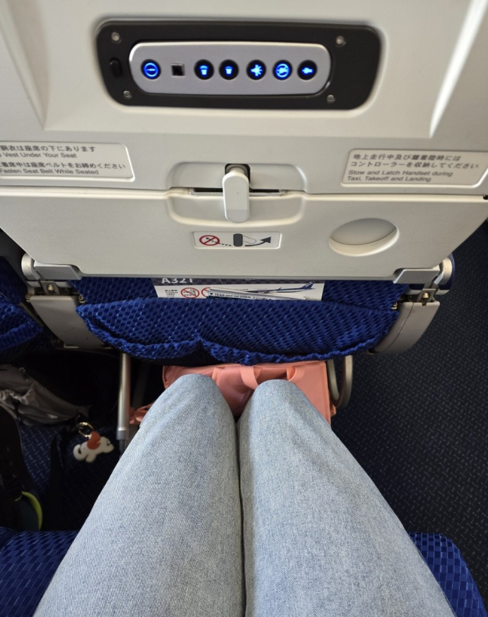 Фото Внутренний рейс по Японии - Кагосима-Токио. Как купить билеты и зарегистрироваться на рейс