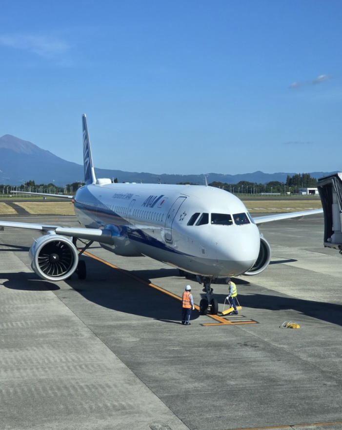 Фото Внутренний рейс по Японии - Кагосима-Токио. Как купить билеты и зарегистрироваться на рейс