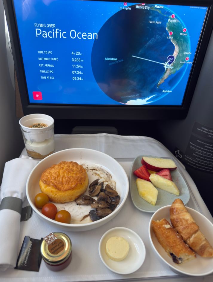 Фото Получила удовольствие от полета из Сантьяго на остров Пасхи