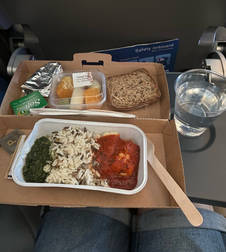 Фото Приятно удивлён хорошим сервисом, новыми самолётами и питанием в Норс.