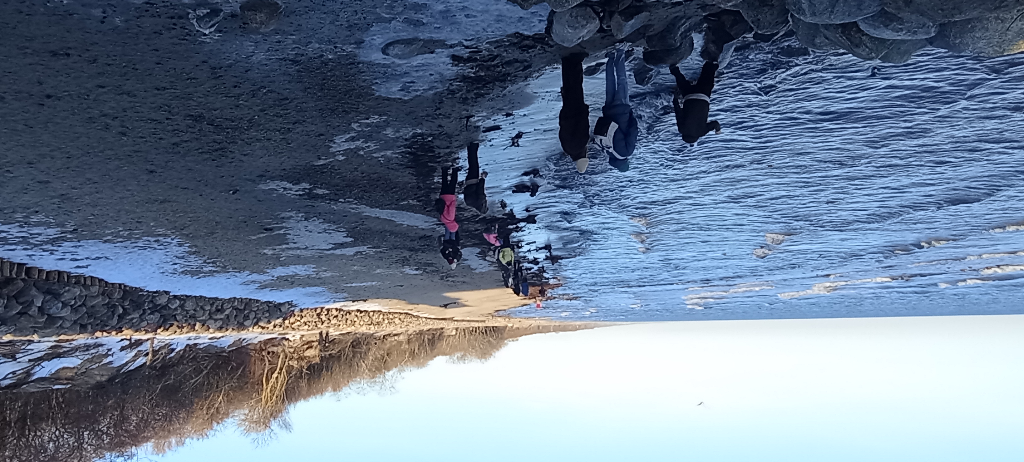 Фото Отзыв о Tripster