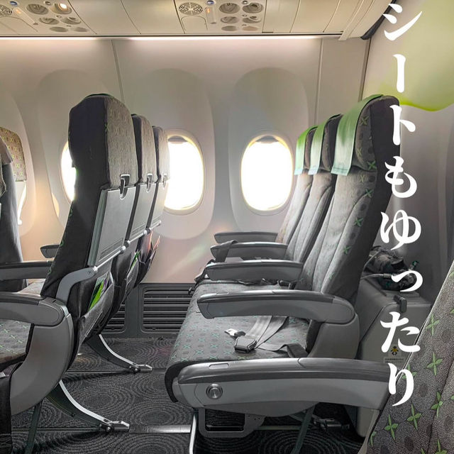 Фото Летайте на Окинаву с Solaseed Air!