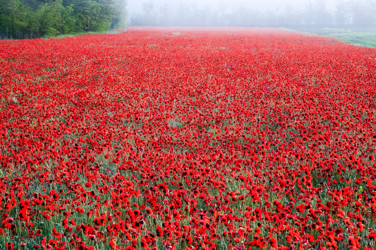 Фото Экскурсия по Тбилиси
