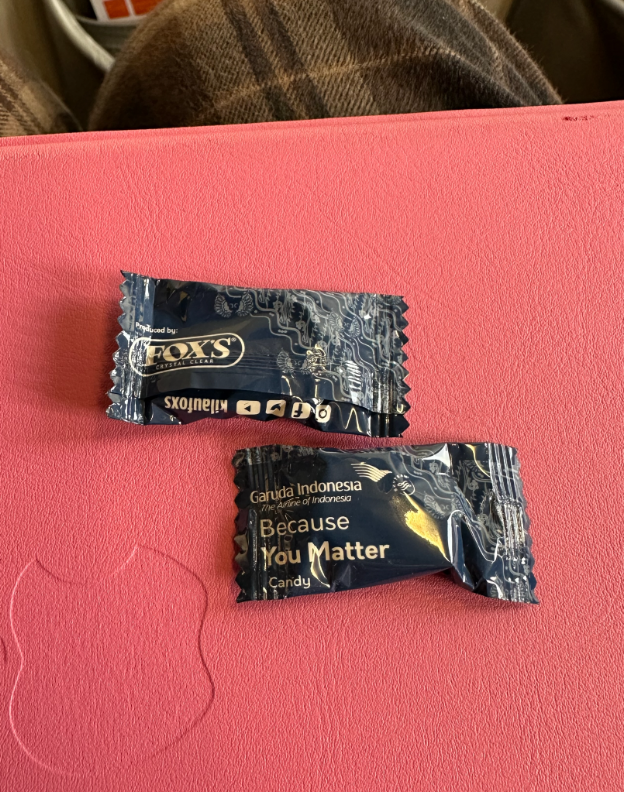 Фото Хорошие перелёты Гарудой на 737-8. Вкусное питание, всё комфортно.