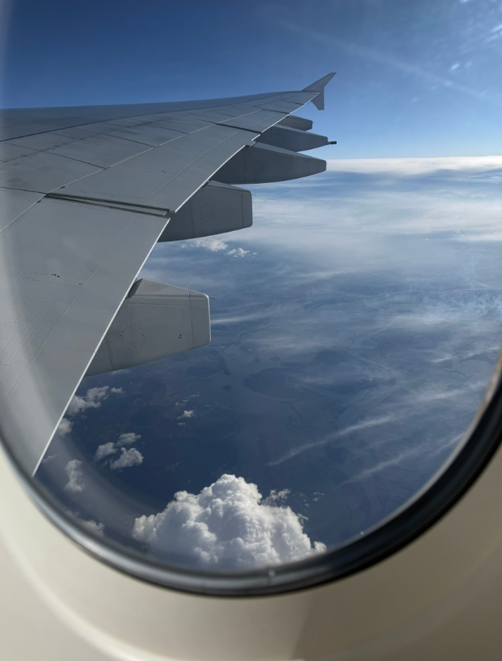 Фото Рейс во Вьетнам через ОАЭ на Эмирейтс. Питание вкусное, алкоголя море.