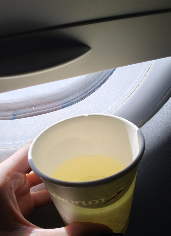 Фото Перелёт «Аэрофлотом» из Южно-Сахалинска в Москву: питание и сервис на борту