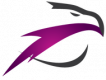 Лого Sky Vision Airlines
