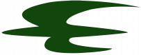 Лого Iraqi Airways